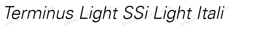 Terminus Light SSi Light Italic字体转换